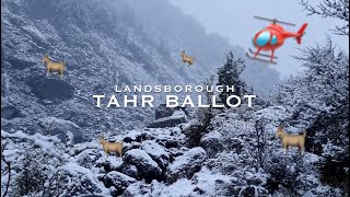 Wilderness Tahr Ballot, Landsborough, Arbor Rift 2021