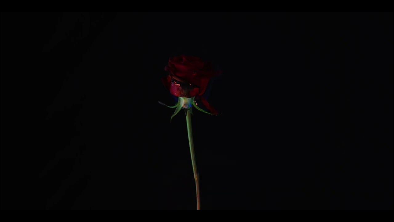 Yuraging gulzor ichi tikanzor--To'liq versiyasi!(official Music Video)2024