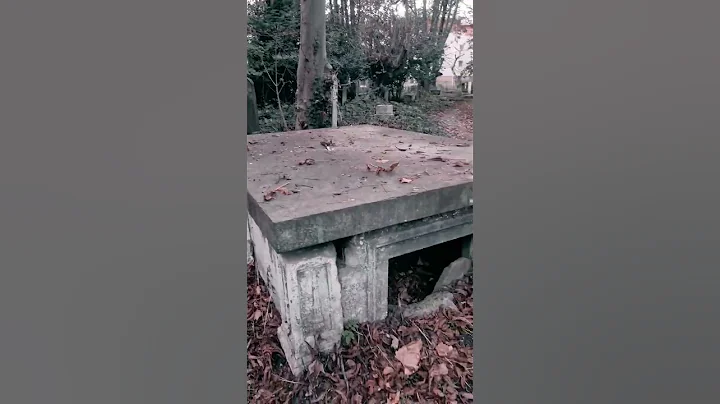 something crawled out of this haunted tomb #Cemetery