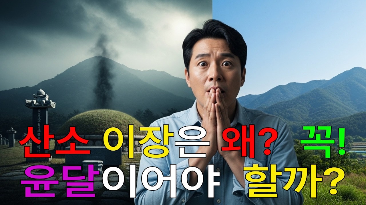 남들 다 하는 윤달에 산소 이장, 우리 집안엔 오히려 독이 될 수 있습니다.상