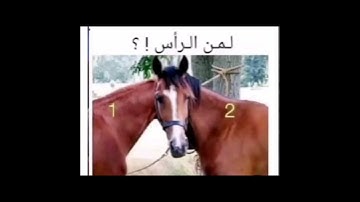 لو عرفت الجواب الصحيح فانت عبقري مااجمل صوت القران الكريم