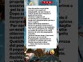 🦜 Pappagalli #shorts #youtube #divertente #umorismo #scherzo #commedia #risate #italia