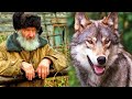 This Old Man Saved a Wolf Pup   When the Wolf grew up, He Returned the Favor in an Unbelievable Way!