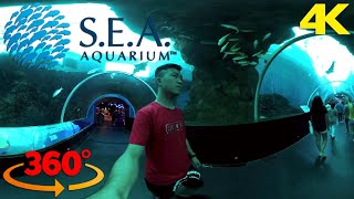 S.E.A. Aquarium SINGAPORE Complete Walkthrough 360 VR Video screenshot 5