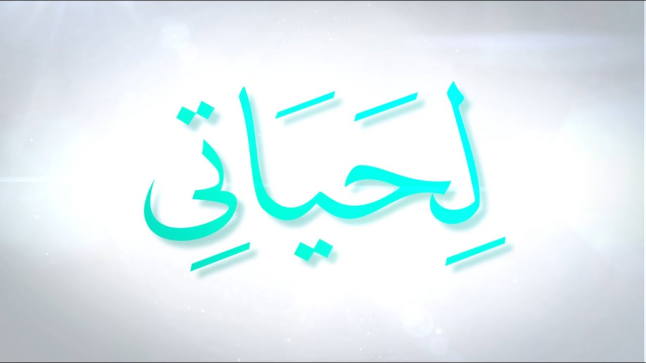 تعرف على منصة لحياتي التي اطلقها معهد القرآن الكريم في النجف الأشرف