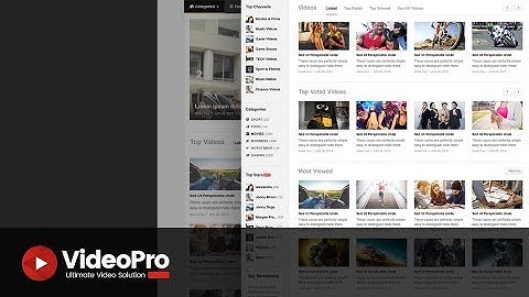 VideoPro -  How to update theme and plugins