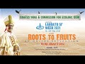 Roots to Fruits: An Online Reflection