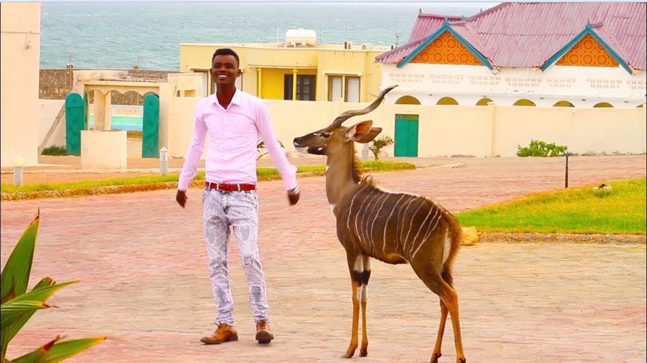 Mohamed Deeqsi New Song  Jano official Video 4k 2018