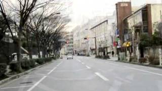 ベイサイド・セレナーデ