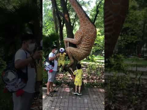 Video: Mô tả và ảnh về Vườn Bách thảo và Thảo cầm viên (Botanical Garden) - Việt Nam: Thành phố Hồ Chí Minh