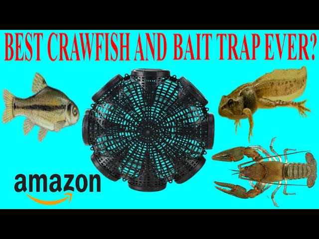 is this the best bait and crawfish trap on ? 