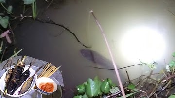 #194 Cấm Câu Và món Cá Lóc Nướng trui Cùng Anh Em (ĐoànDự TV1)