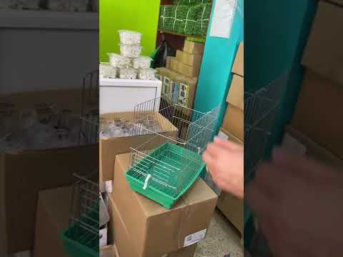 الريشة الذهبية مرحبا 0540992266