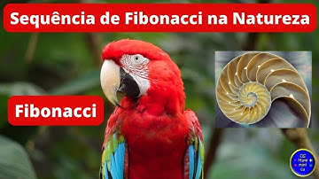 A SEQUÊNCIA DE FIBONACCI NA NATUREZA