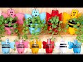 Transform Old Plastic Bottles into Lovely Flower Pots, Hanging Garden Ideas