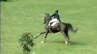 Beezie Madden   Judgement   Spruce Meadows
