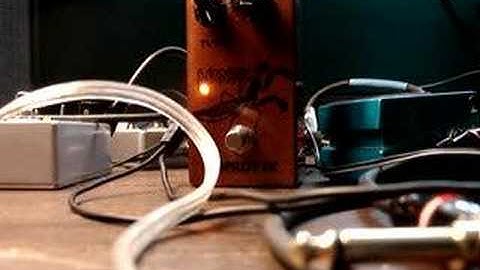 Copilot FX Mantis (Again!)