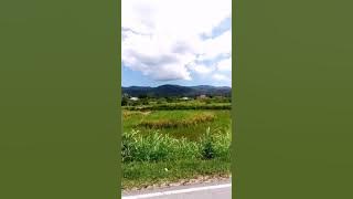 SIDOLI NA POGOS (karmon manurung)