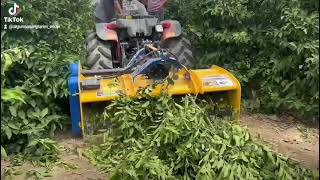 Dal parçalama Arg tarım makinaları Resimi