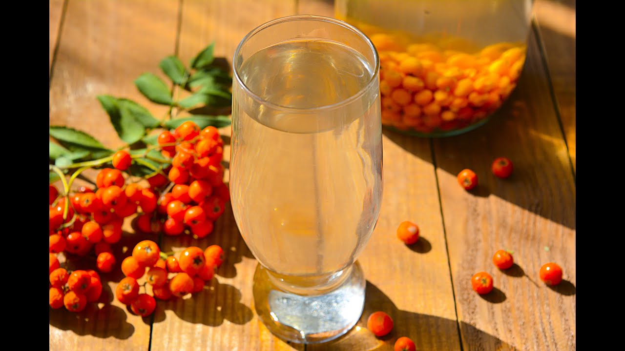 Компот из рябины красной и яблок. Морс узвар. Компот из рябины. Рябина компот. Красная рябина компот.
