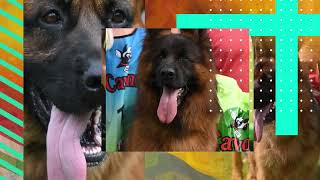 Noorder Clubmatch Mittwochschau 2022