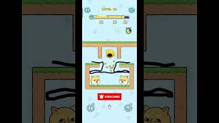 doge rescue #billiwala #catvideos #cat #monkeyvideo #bee