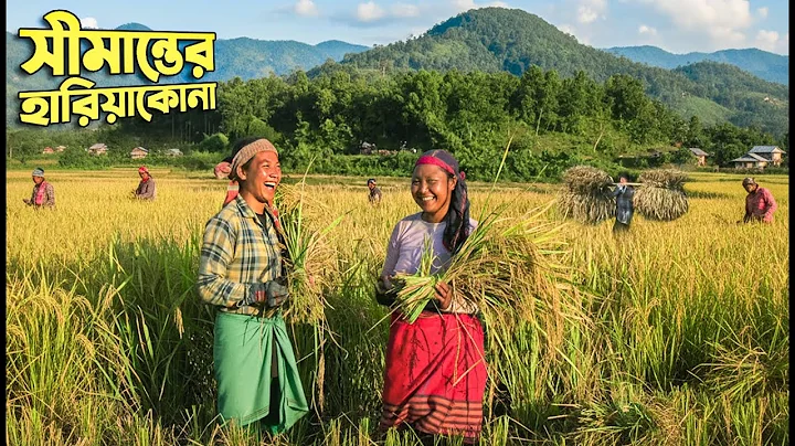 শেরপুরের সীমান্তবর্তী হারিয়াকোনায় গারো জনগোষ্ঠীর জীবন || Panorama Documentary