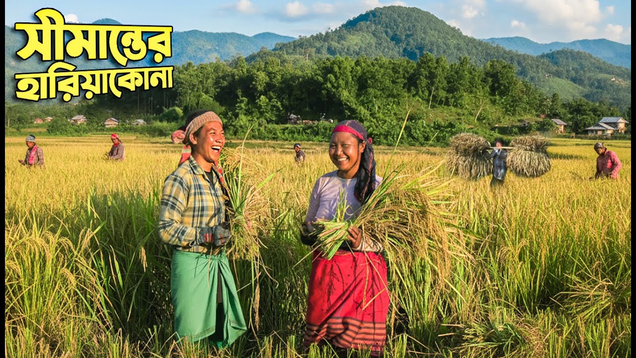 শেরপুরের সীমান্তবর্তী হারিয়াকোনায় গারো জনগোষ্ঠীর জীবন || Panorama Documentary