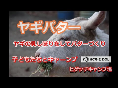 ゼルダの伝説ブレスオブザワイルドヤギのバター入手方法