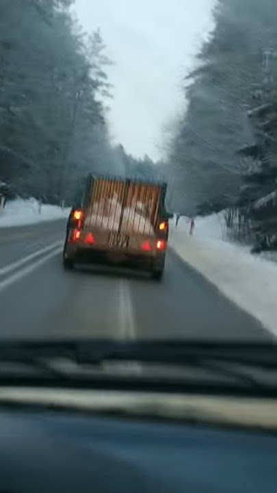 Pilnuje żeby moje parszuki bezpiecznie dojechali
