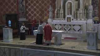 Memorial of Saint Apollinaris