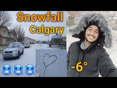 Snowfall in Calgary Canada | My second snow ❄ #canada #vlogs
