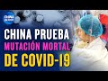 “Hay que detener esta locura”: China prueba mutación mortal de Covid-19. Alarma pública