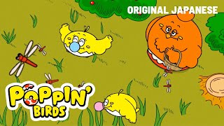 Akatonbo (Japanese ver.) / POPPIN' BIRDS