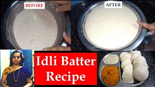 मऊ लुसलुशीत इडली बनवण्यासाठी इडली बॅटर बनवण्याची सोपी पद्धत - Idli Batter Recipe By Sharmila Zingade