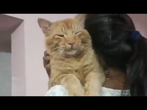 Needs much care for munna #catlover #cats