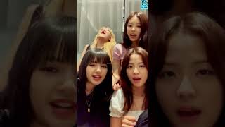 ROSÉ imitating Minion
