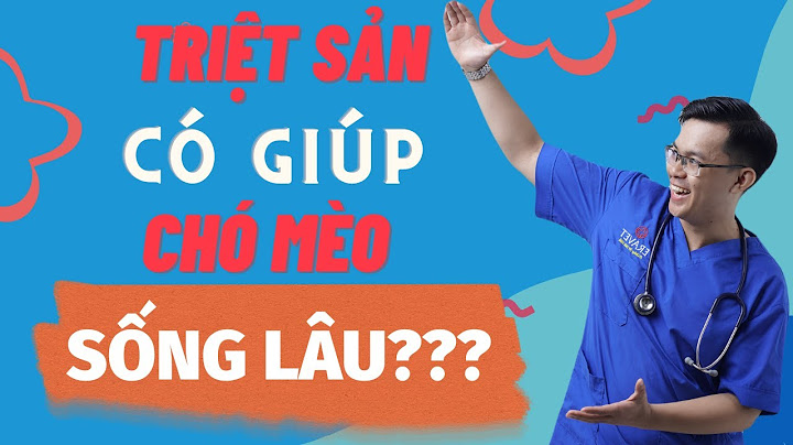 Mèo bao lâu thì thiến