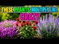 Plant These in APRIL! 11 FAST SPREADING Perennials for a LUSH LandScape All Year Round