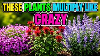 Plant These in APRIL! 11 FAST SPREADING Perennials for a LUSH LandScape All Year Round
