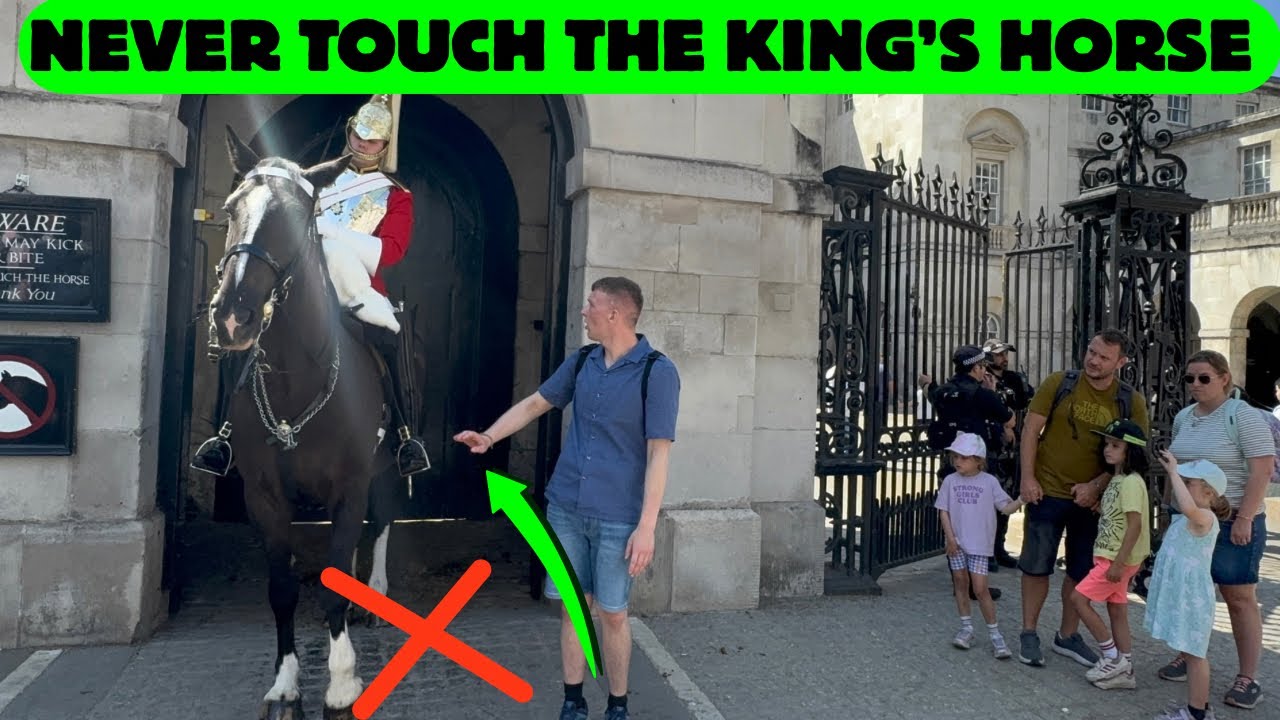 🤬MORON TOURIST Learns the Hard Way: Don’t Touch the King’s Horse