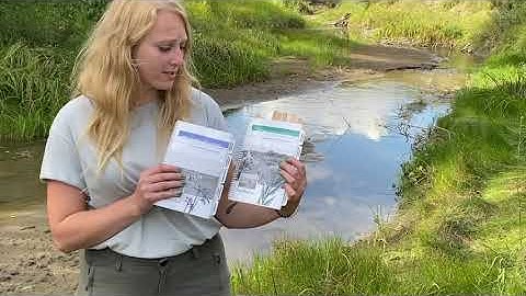 Riparian Health Assessments: Introduction