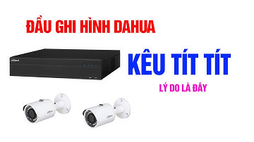 Nguyên nhân đầu ghi camera kêu tít tít