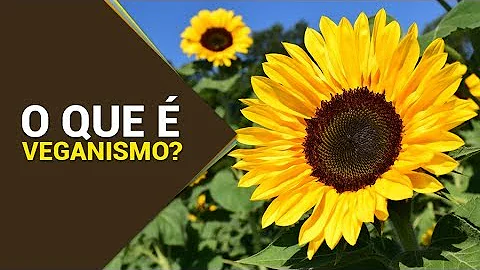 Qual a finalidade do veganismo?