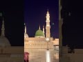 Meine Liebe Gilt Madina Medina Madina Naat