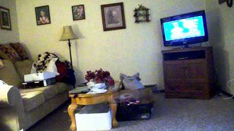 Walkera V120D02 Flybarless CP Micro Heli Living Room Hover