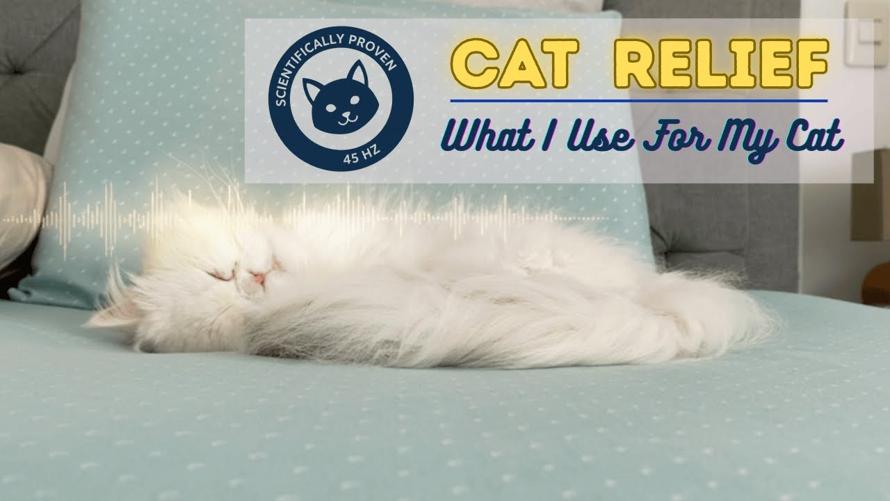 10 HOURS Deep Sleep for Cats   45Hz Species Specific Music Scientific Anxiety Relief