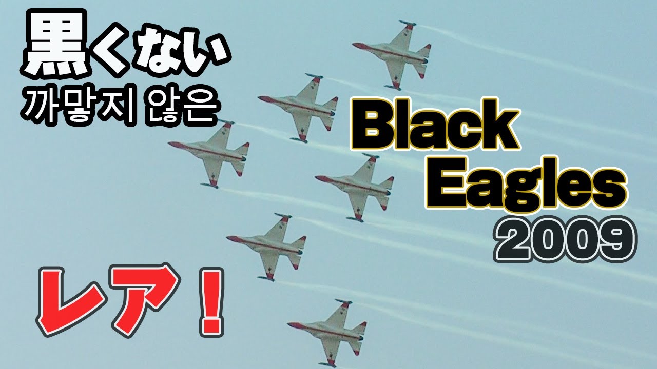 レア] 黒くない韓国空軍ブラックイーグルス！SEOUL ADEX 2009 블랙