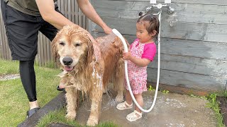 大好きな2歳児に最初から最後まで丁寧にお世話をされて嬉しそうなゴールデンレトリバーが可愛すぎました..
