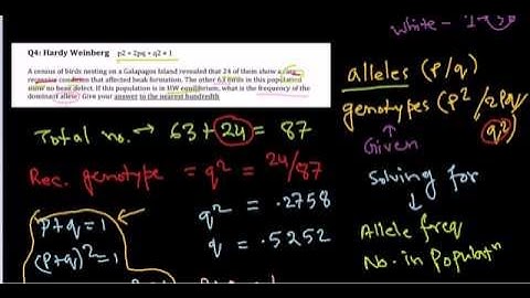Hardy weinberg principle problem | CSIR UGC NET GATE exam preparation